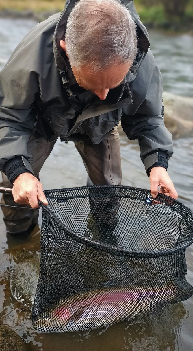 Trophy Trout New Zealand, Taupo