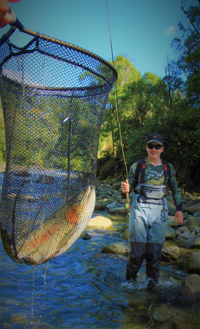 North Island Fly Fishing Guide