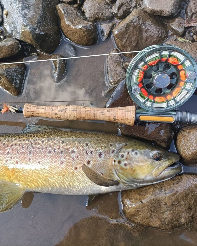 North Island Dry Fly Fishing