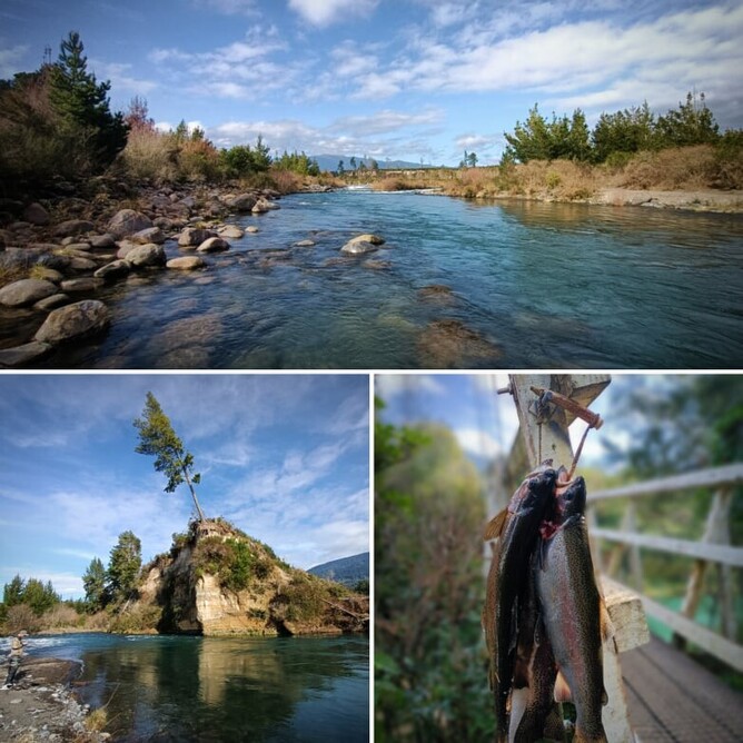 Turangi Trout Guide New Zealand
