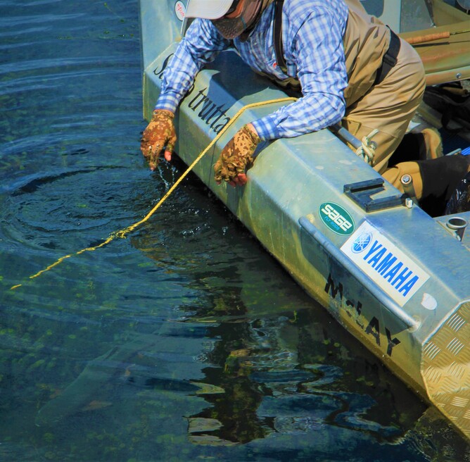 North Island New Zealand Trout Fishing Guide Greig Cousins