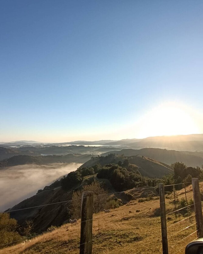 Waikato Fly Fishing - Rotorua