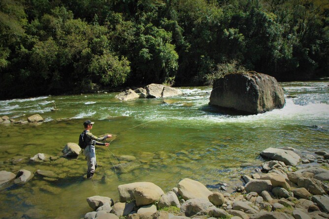 North Island Fly Fishing Guide Rob Vaz