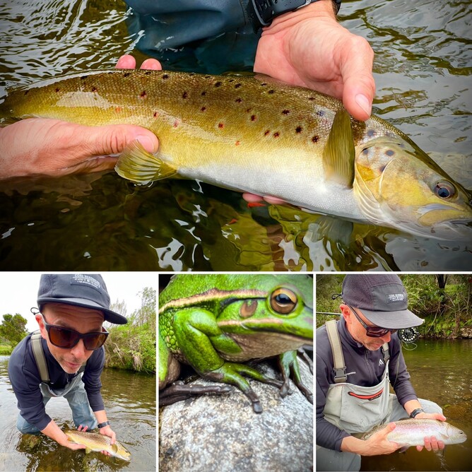 New Zealand Fly Fishing 