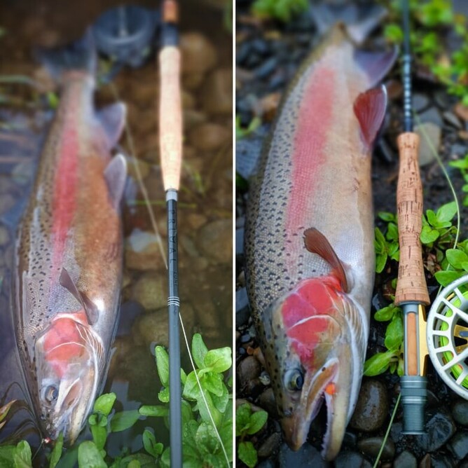 Euro and Czech Nymphing New Zealand