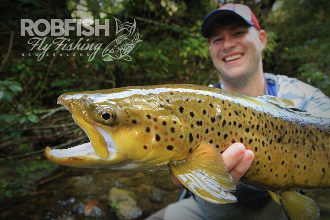 Central North Island Guide Trout
