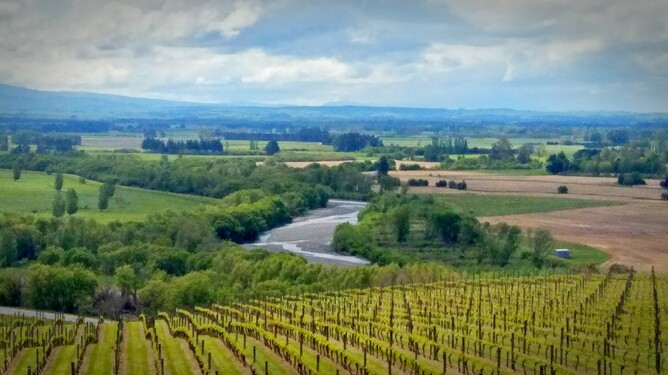 Fly Fishing  North Island Fly Fishing Guide