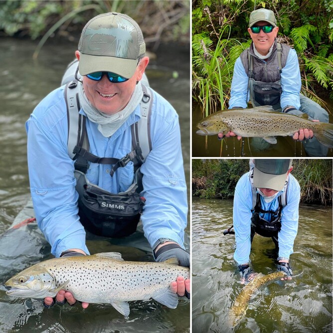 Trout Fishing New Zealand