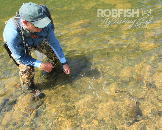 North Island Fishing Guide Robfishnz 