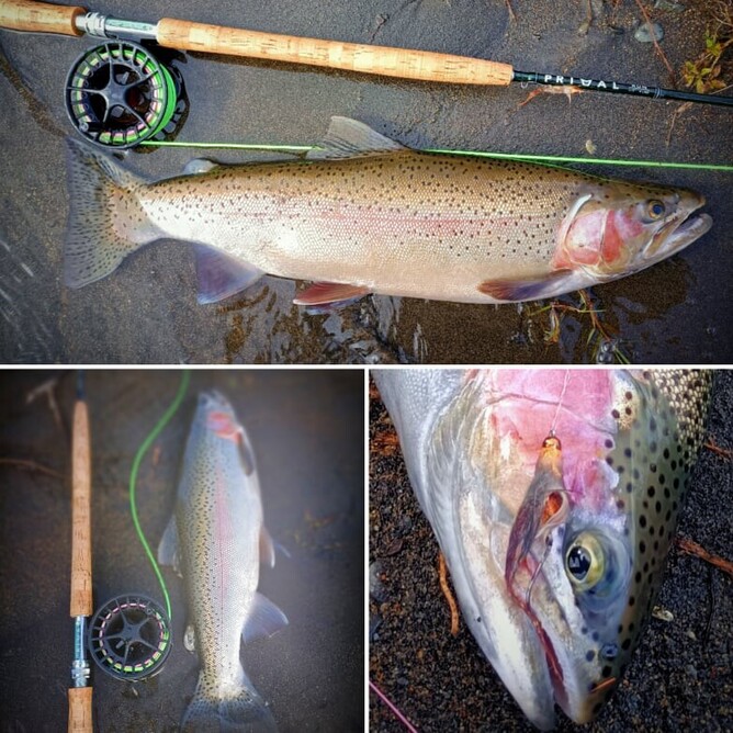 Turangi Fly fishing guide Tongiriro Fly Fishing Guide Rob Vaz