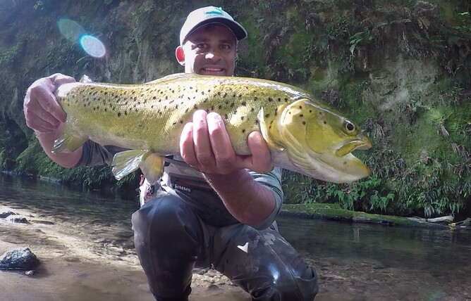 New Zealand Fishing Guide