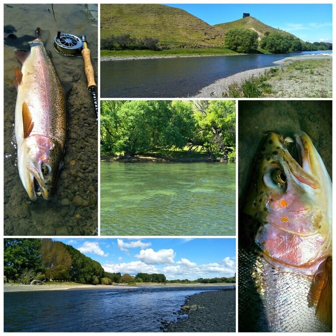 North Island Fly Fishing Guide