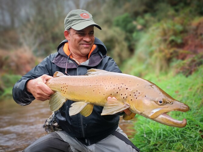 New Zealand Trout Guide Rotorua, Hamilton, Auckland
