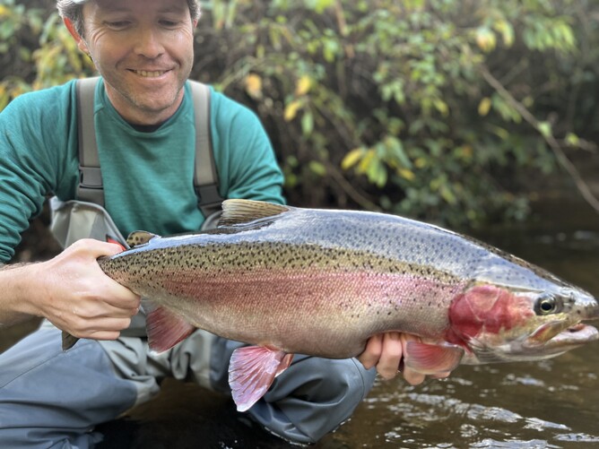 Turangi Trout Guide New Zealand