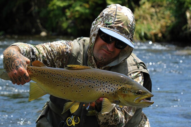 Hamilton Waikato trout