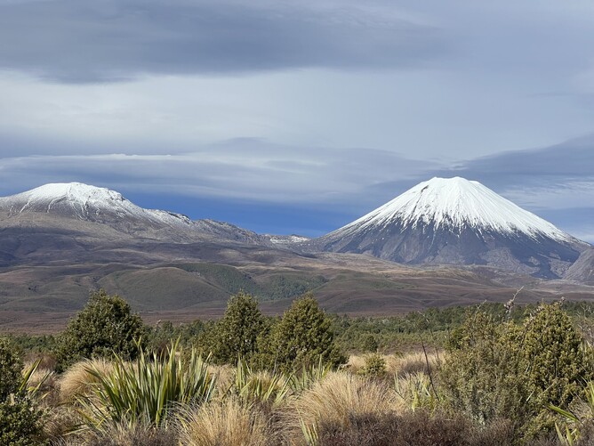 New Zealand Fly Fishing