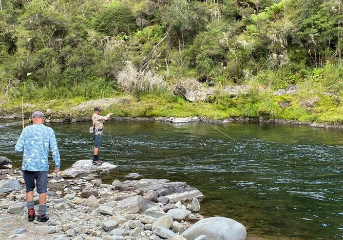 New Zealand Trout Guide