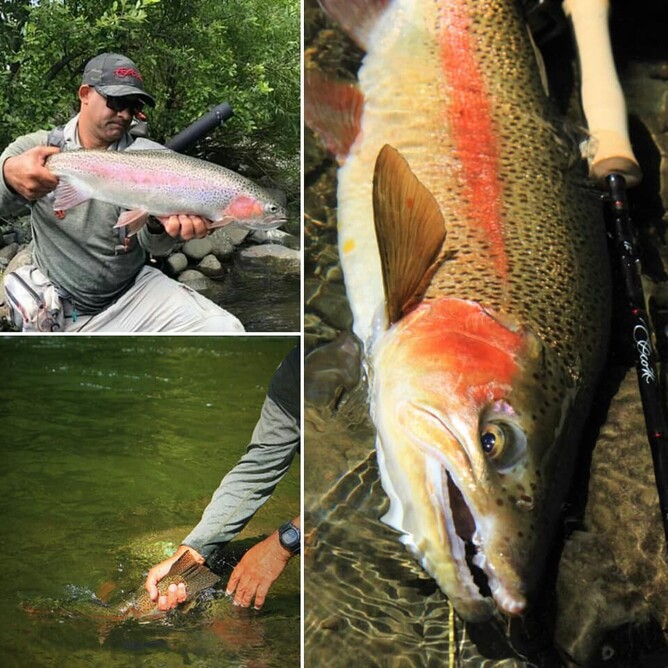 Taupo Turangi Rotorua Trout Guide Rob Vaz North Island