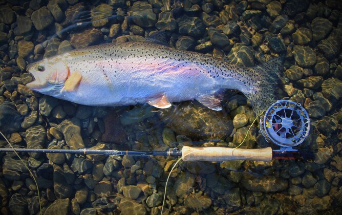 North Island fishing NZ