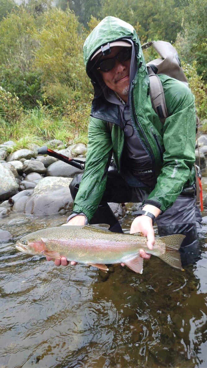 Taupo New Zealand Fly Fishing 