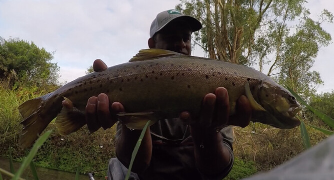 Fly Fishing North Island New Zealand