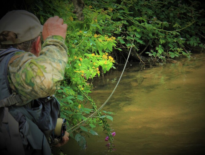 Central North Island fishing, Rotorua fly fishing
