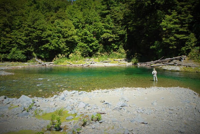 New Zealand Fishing Guide