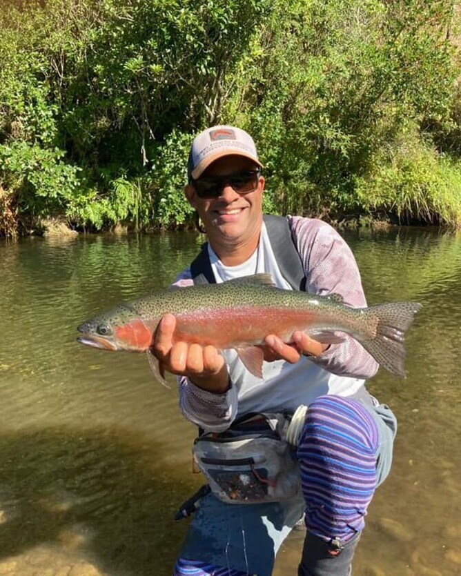 Dry Fly New Zealand - Hamilton