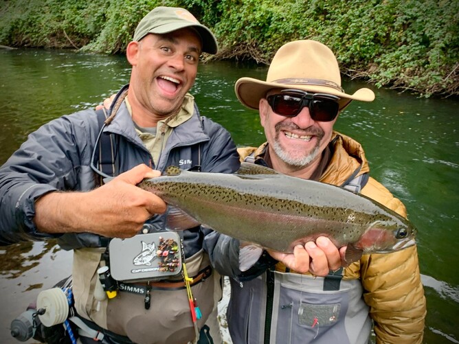 Turangi Trout Guide