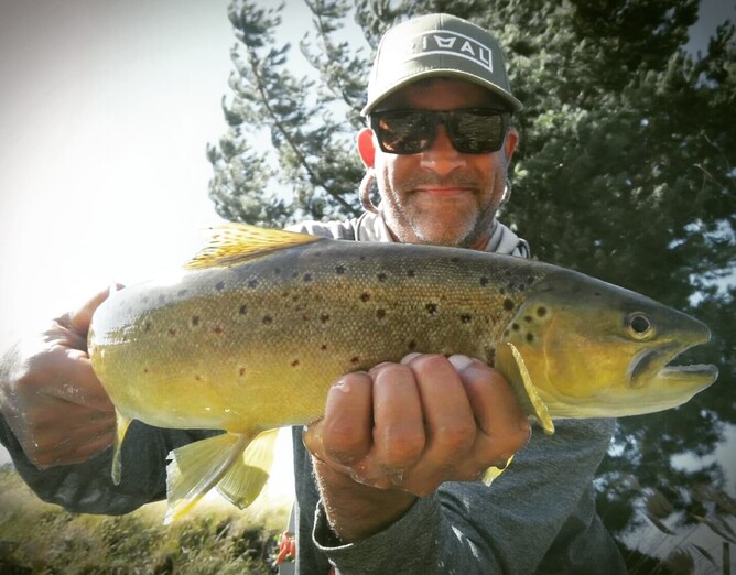 Waikato trout Rotorua