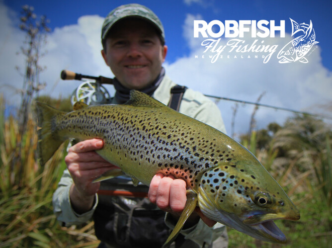 North Island Fly Fishing Guide Brown Trout New Zealand