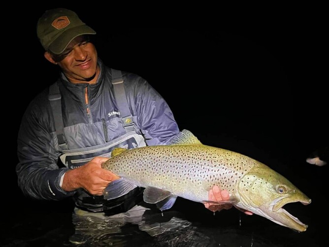 Turangi Trout Guide