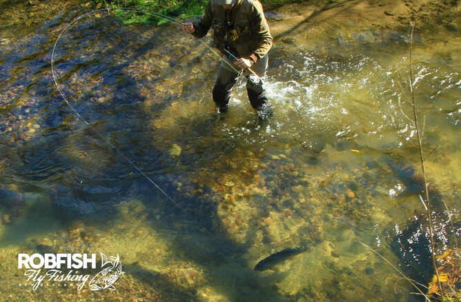 Trout Guide New Zealand