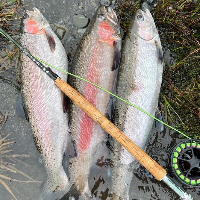 Manic Tackle Project