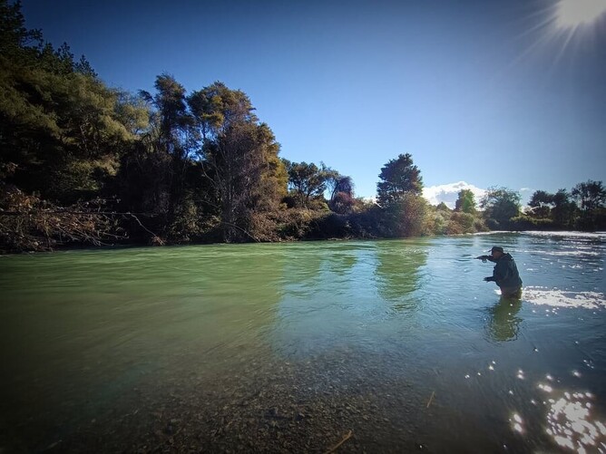 Turangi Trout Guide
