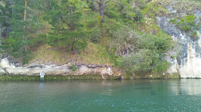 Trout Guide Rob Vaz North Island Fly Fishing Guide