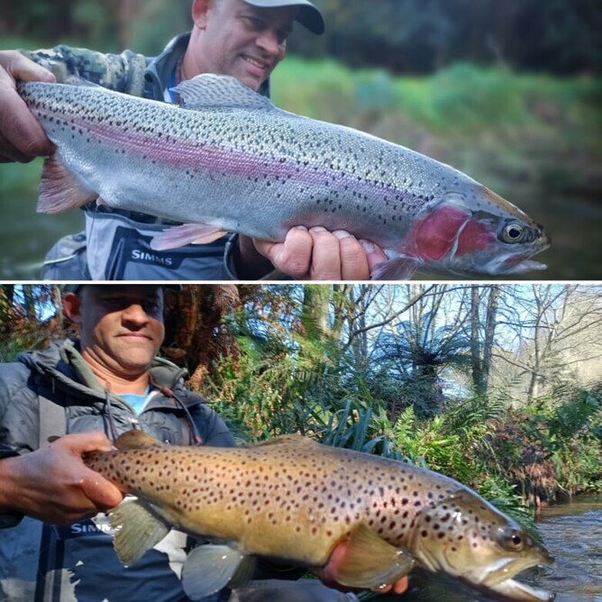 Hunting and Fishing Rotorua