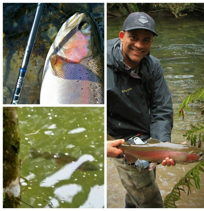 Turangi guide North Island Taupo