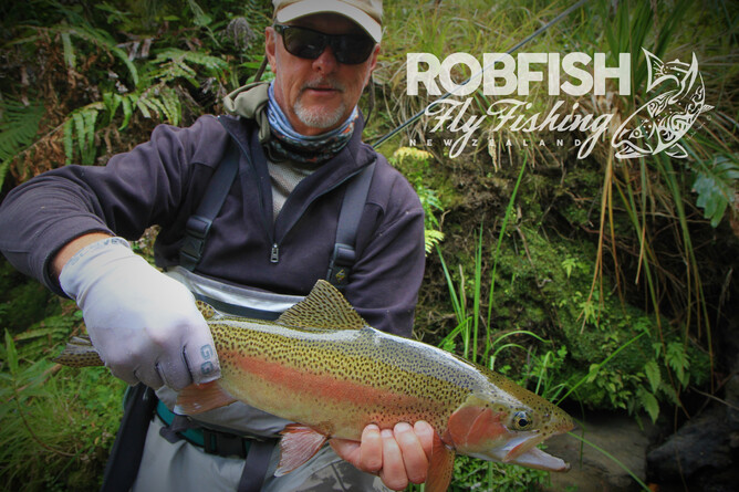 North Island Fishing Guide Trout