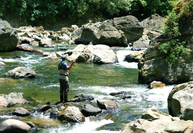 Dry fly north island fly fishing rob vaz fly fishing brown trout