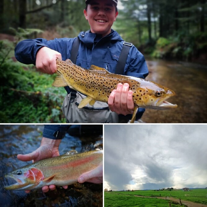 Auckland fly fishing New Zealand