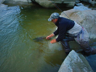 New Zealand North Island Trout Fly Fishing Guide
