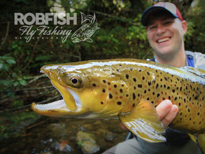 French Fisherman Catch Brown Trout