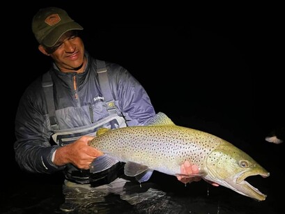 Turangi Fly Fishing Guide