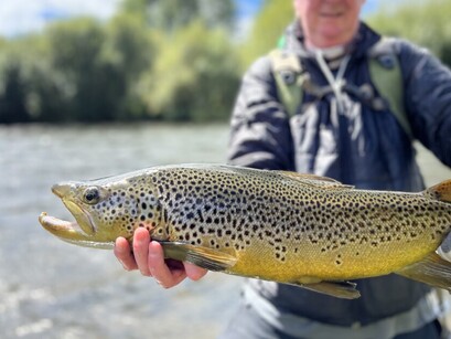 New Zealand Fly Fishing Guides