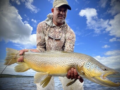 Brown Trout New Zealand north island 