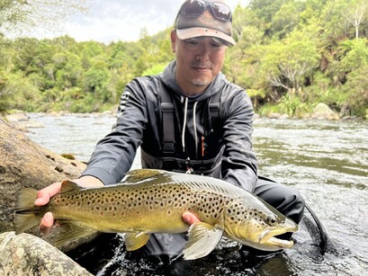 robfishnz trout guide fly fishing north island trout