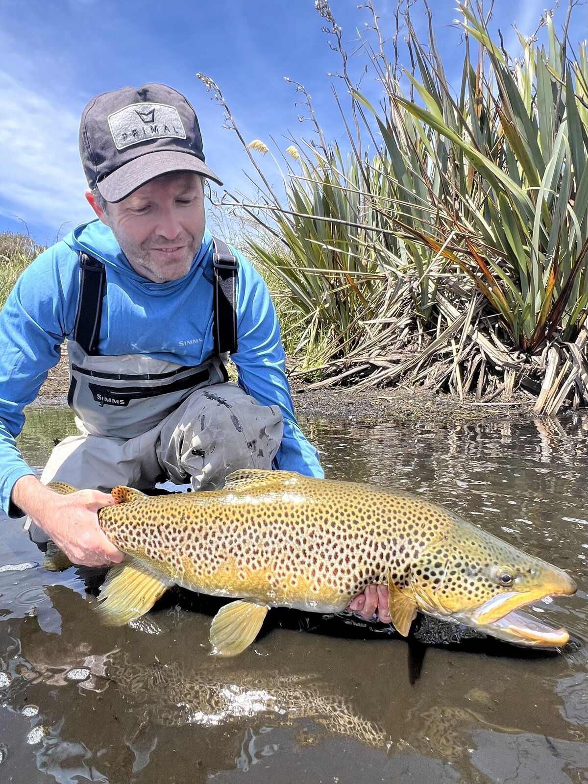 Robfish North Island, New Zealand trout fly fishing guide Rob Vaz