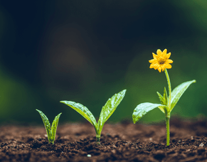 Good Leaders Grow Good People