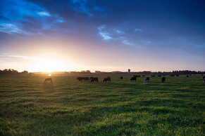 Calving &amp; Winter: A Double Whammy for Wellbeing